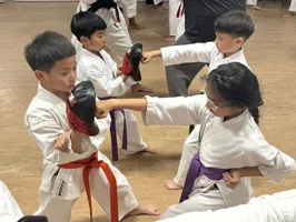 Shotokan Karate