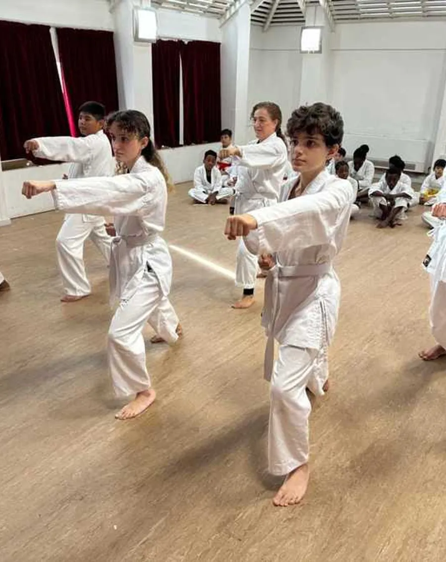 Witness Your Child's Growth and Development Through Karate!
